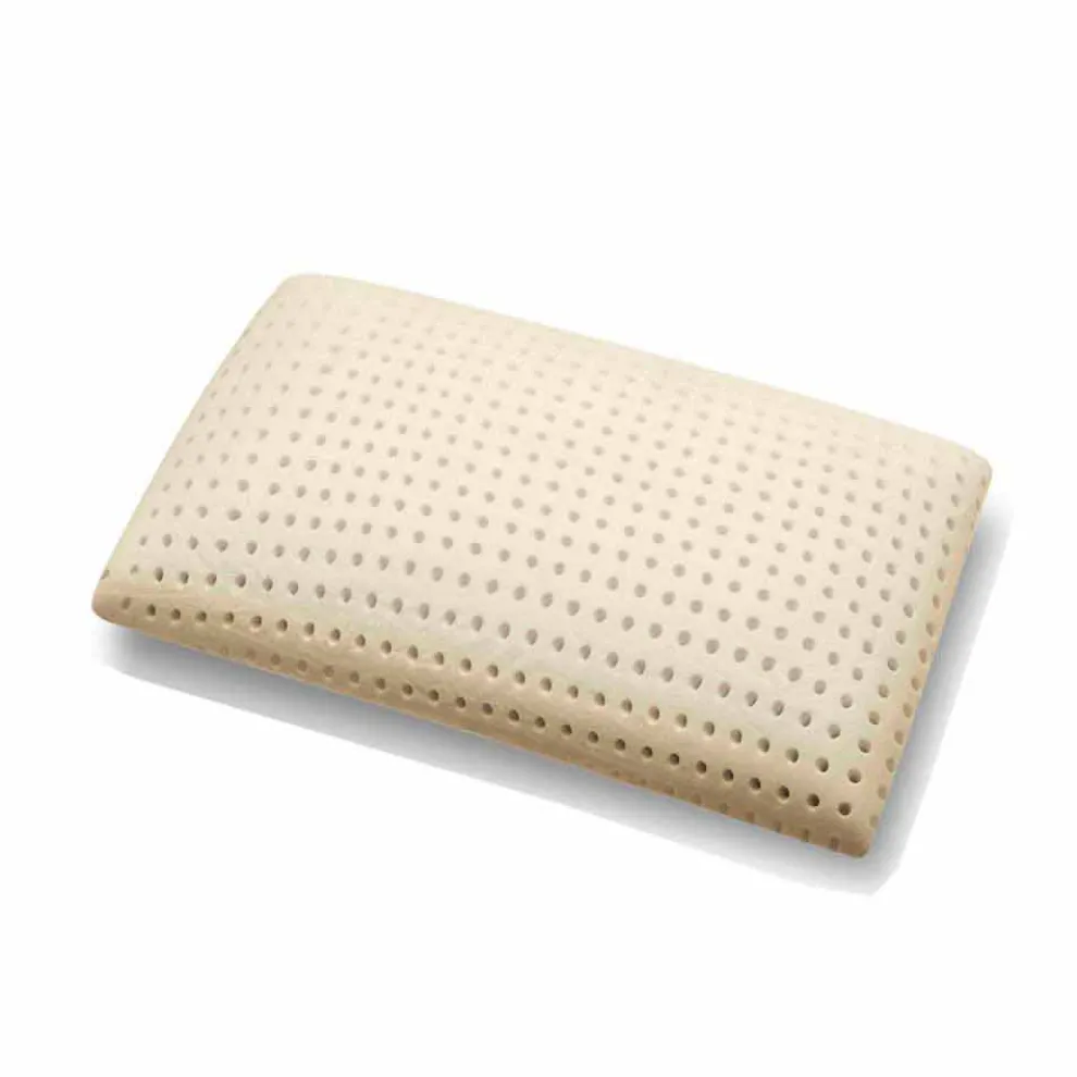 Pillow Speicher Zone 5. Kissen mit Aloe Vera