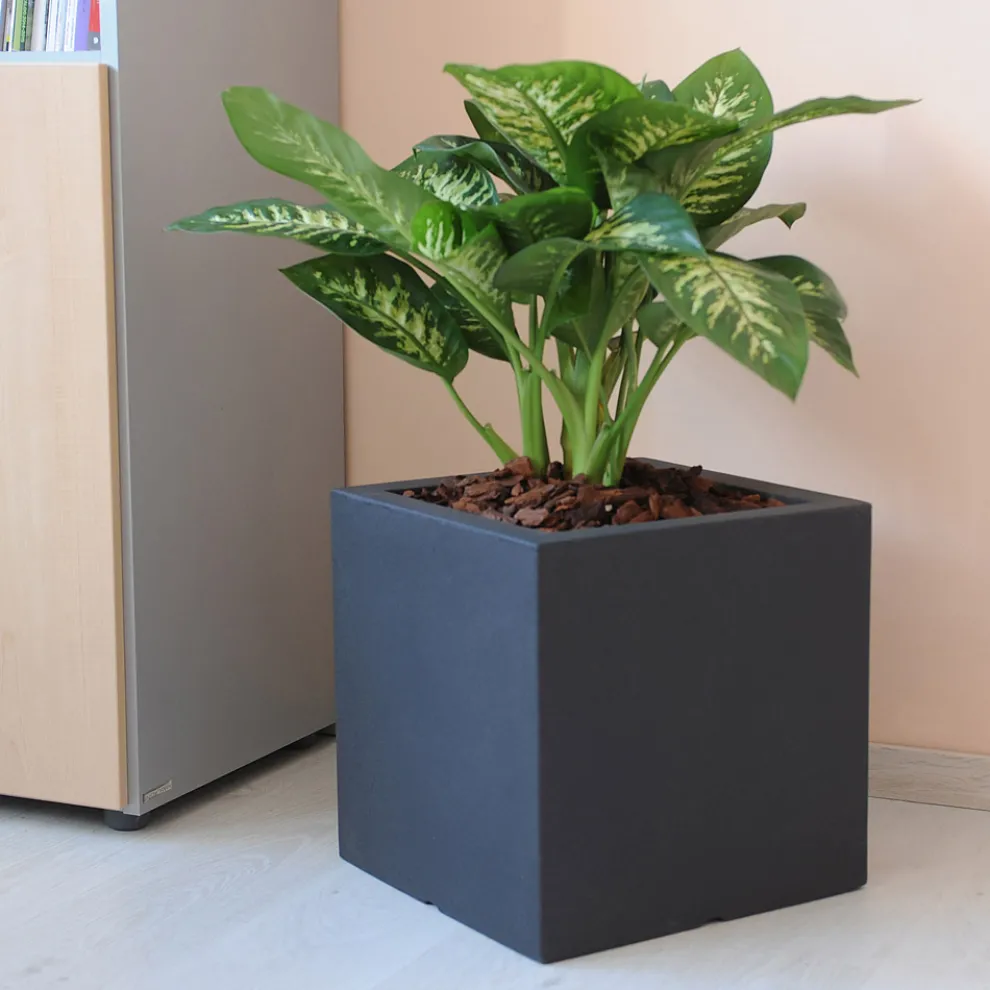 Topf oder quadratischer Gartenteiler dreifarbig Made in Italy - Pflanzen