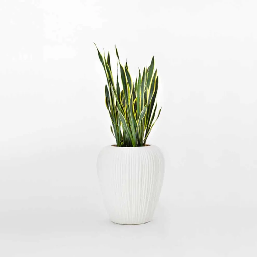 Modernes Design Leuchtende Außenvase aus Polyethylen, 2 Stück - Haut von Myyour