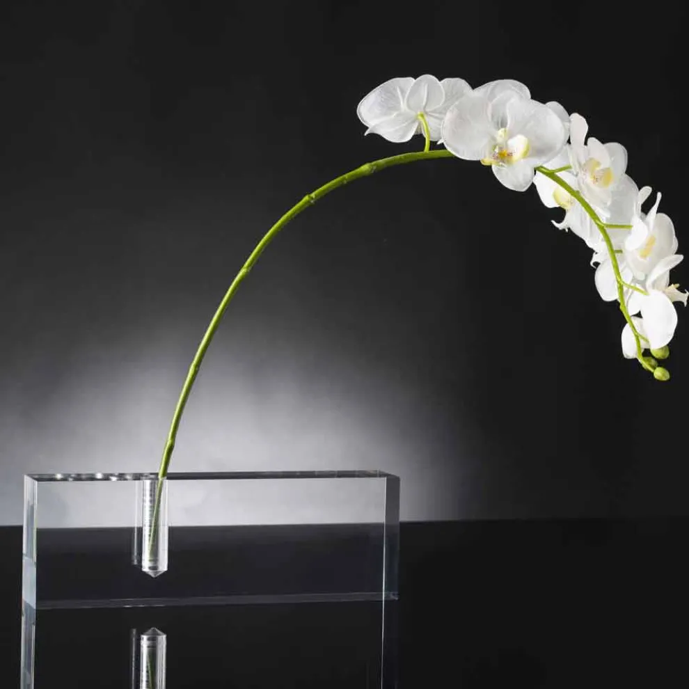Moderne transparente Plexiglas Blumenvase Made in Italy - Unikat