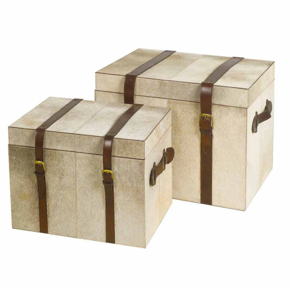 2 Designstämme in Grau Pony Ritini, groß und klein