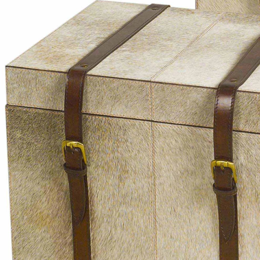 2 Designstämme in Grau Pony Ritini, groß und klein