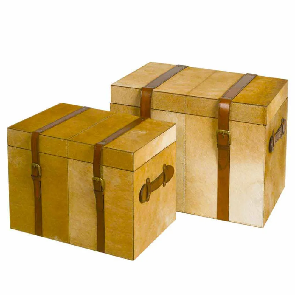 2 moderne Designstämme in Deii hellbraunem Pony