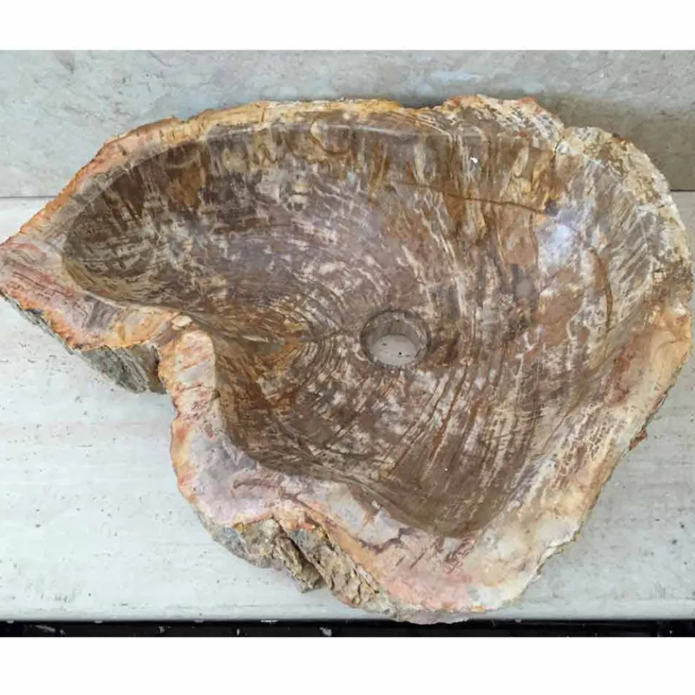 Aufsatzwaschbecken Star Mini aus fossilem Holz, handgefertigtes Einzelstück