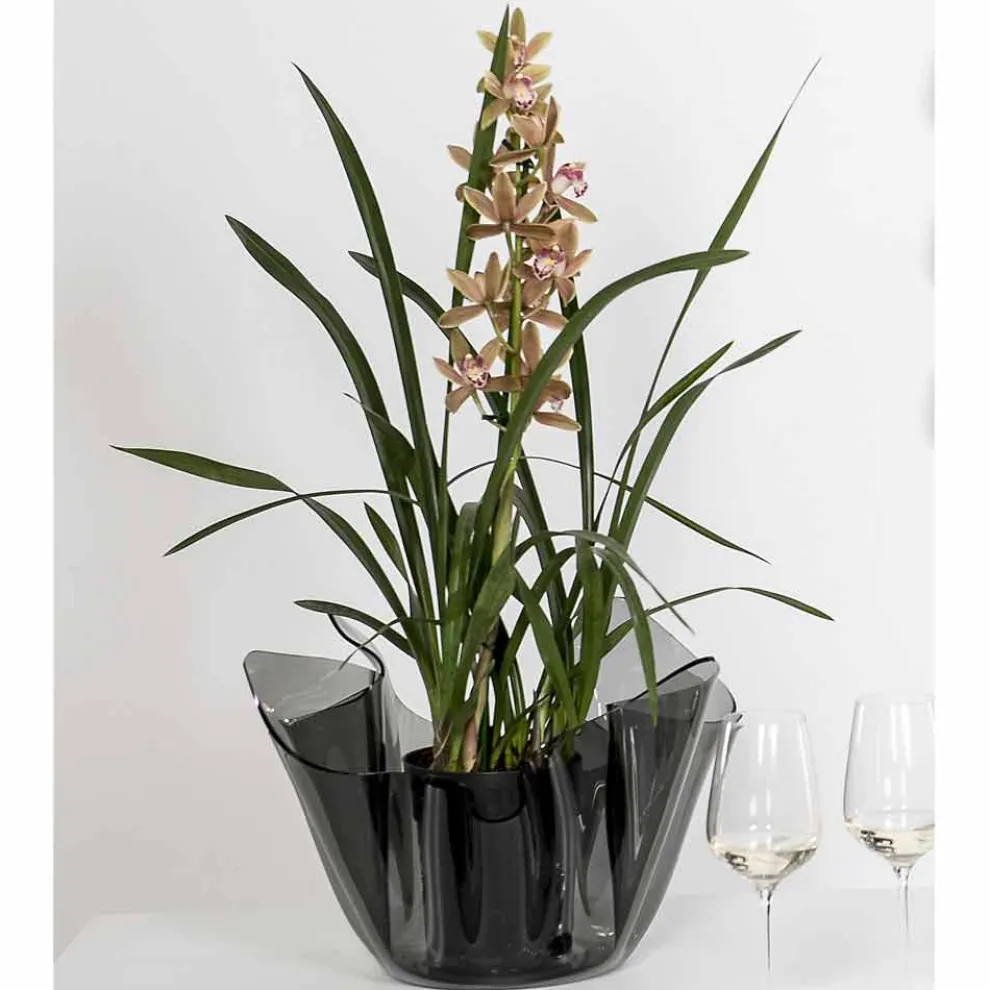 Pina rauchte drapierte Innen- / Außenvase, modernes Design