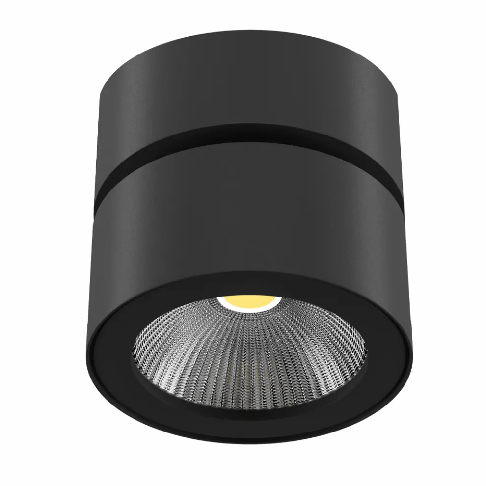 Decken- oder Wandleuchte 14W Led Spotlight aus weißem oder schwarzem Aluminium - China