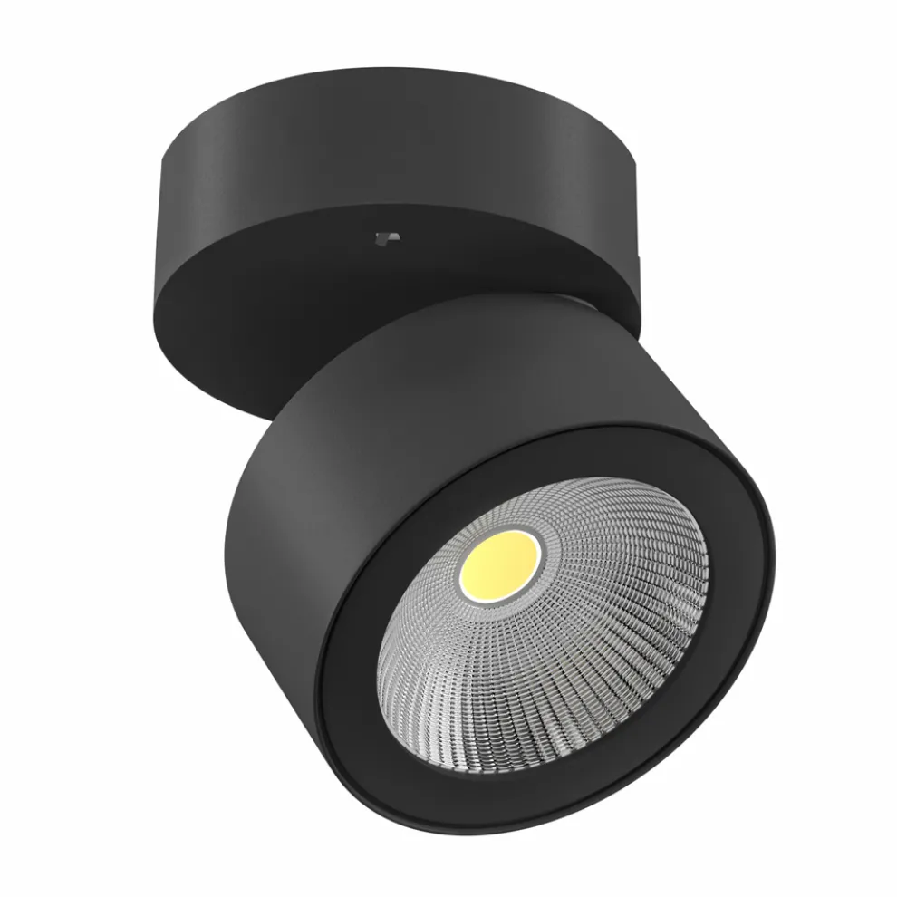 Decken- oder Wandleuchte 14W Led Spotlight aus weißem oder schwarzem Aluminium - China