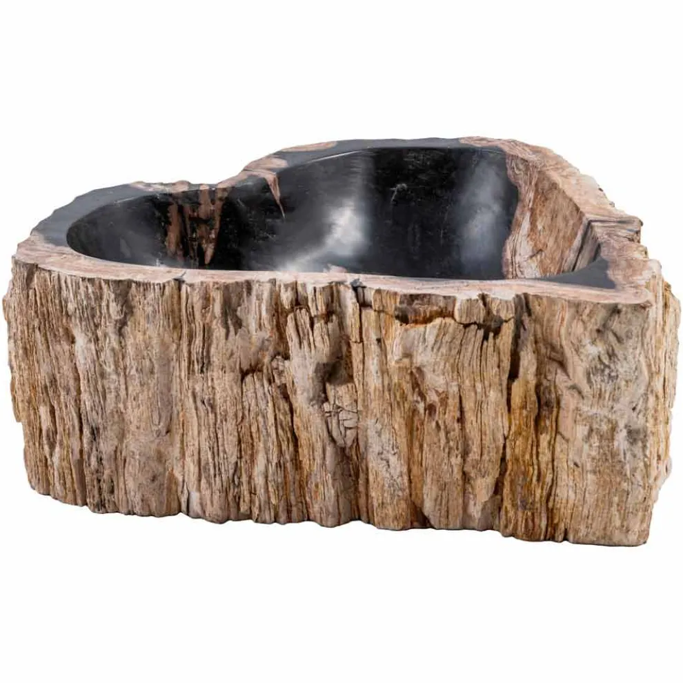 Hadnmade Aufsatzwaschtisch aus fossilem Holz, Neirone