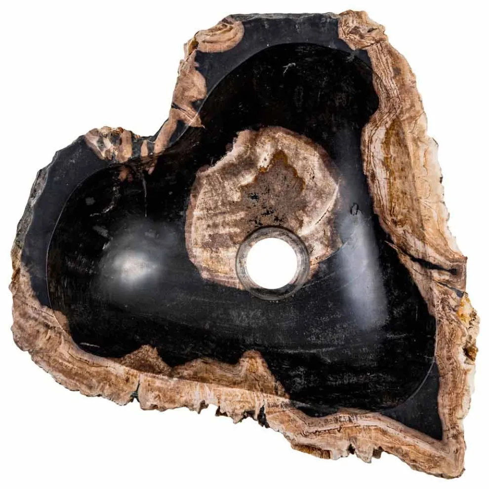 Hadnmade Aufsatzwaschtisch aus fossilem Holz, Neirone