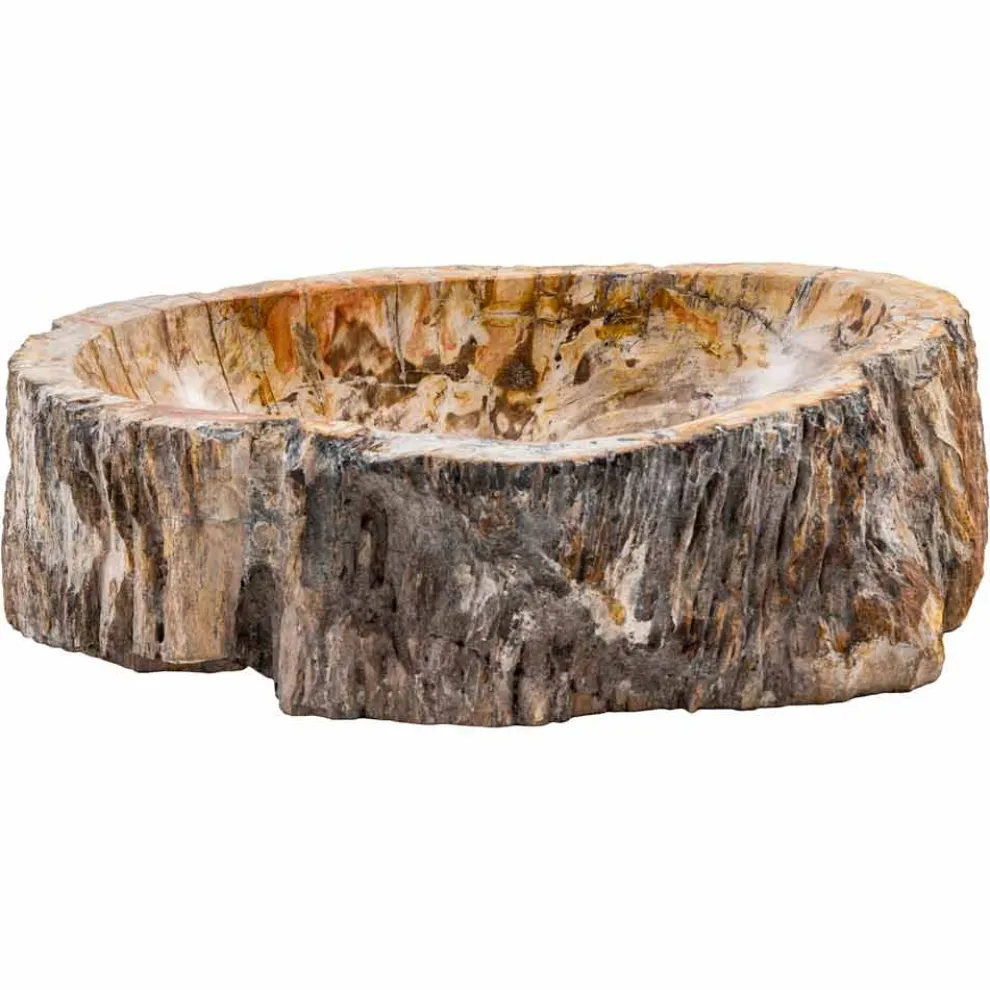 Handgearbeitete Aufsatzwaschbecken aus fossilem Holz, Neviglie