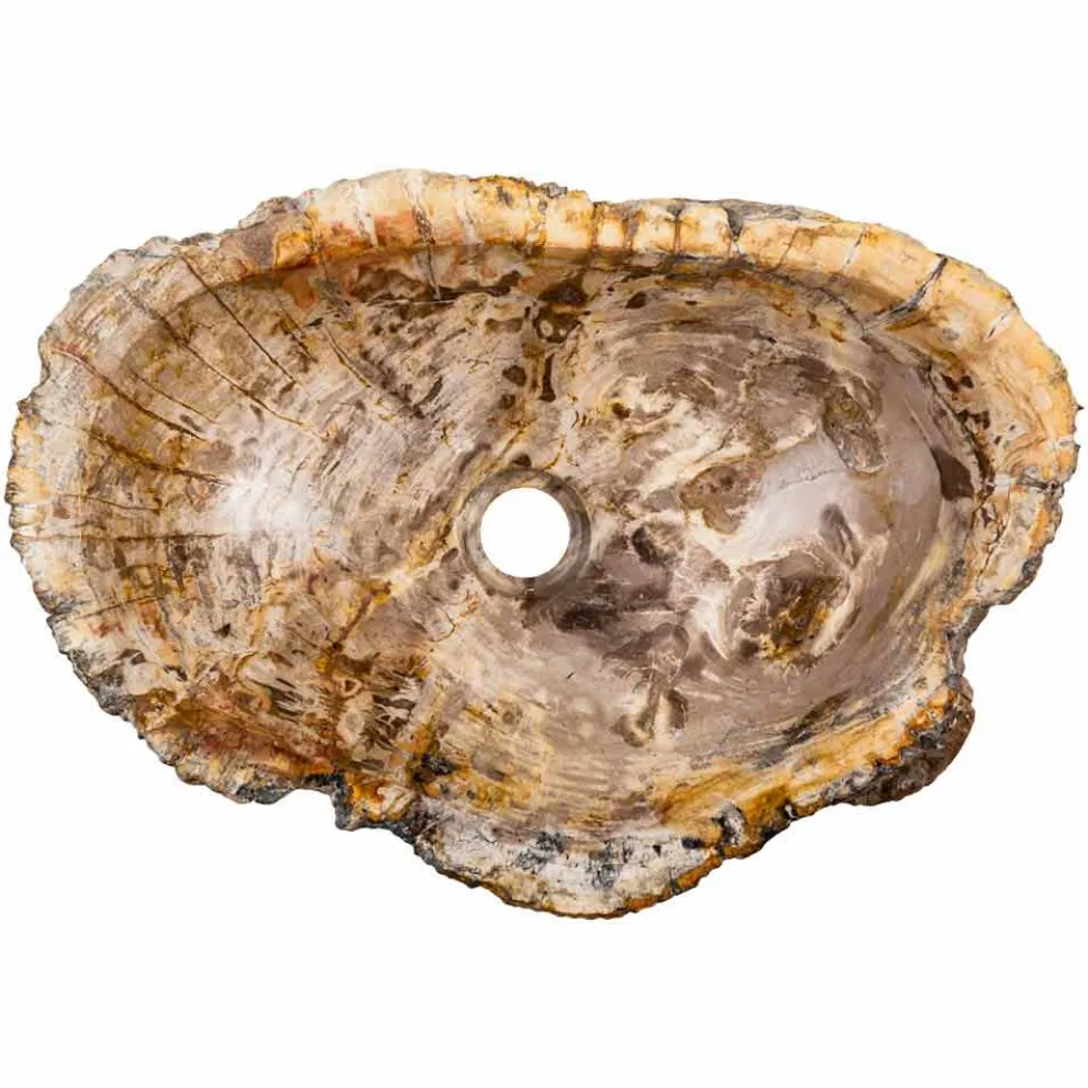 Handgearbeitete Aufsatzwaschbecken aus fossilem Holz, Neviglie