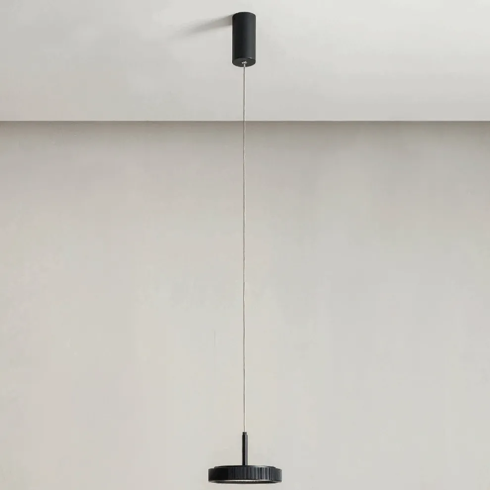 Hängelampe aus schwarz lackiertem Metall und LED-Licht – Hainbuche