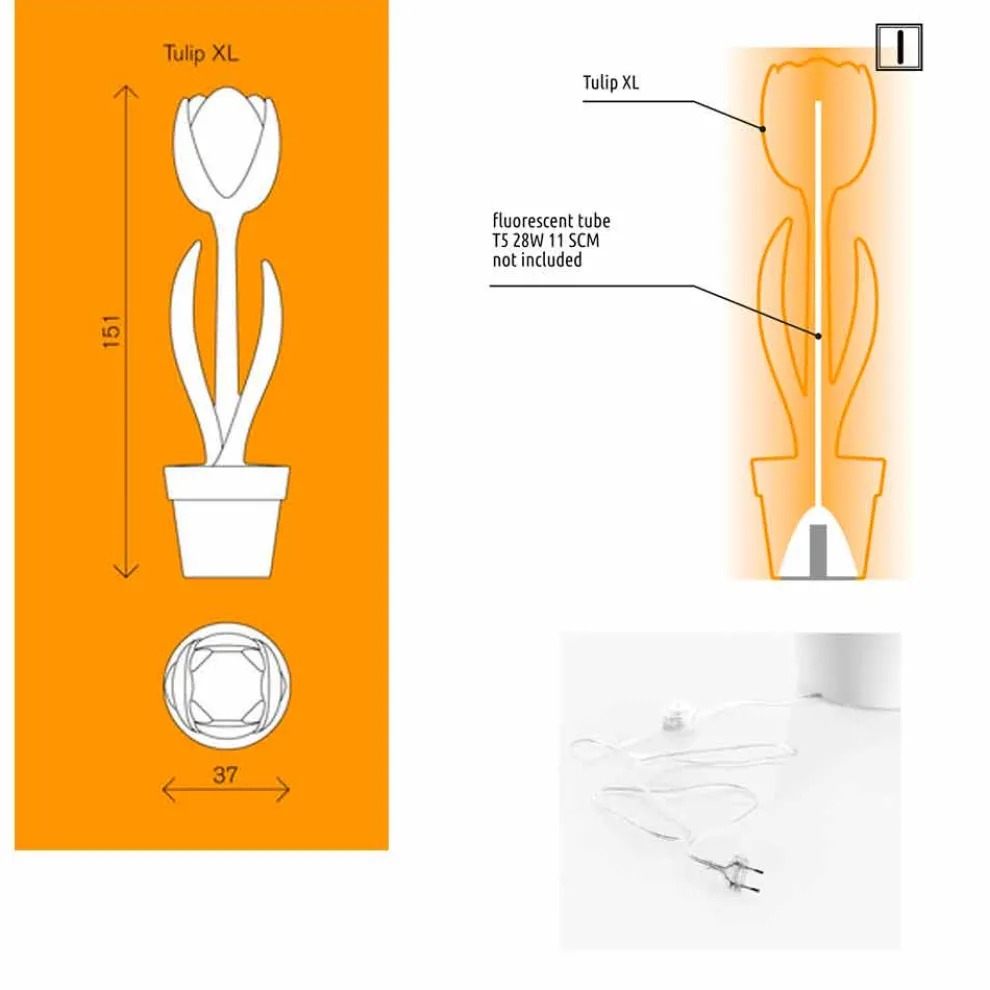 Leuchtende Möbeldekoration für Innenarchitektur, 2 Stück - Tulpe von Myyour