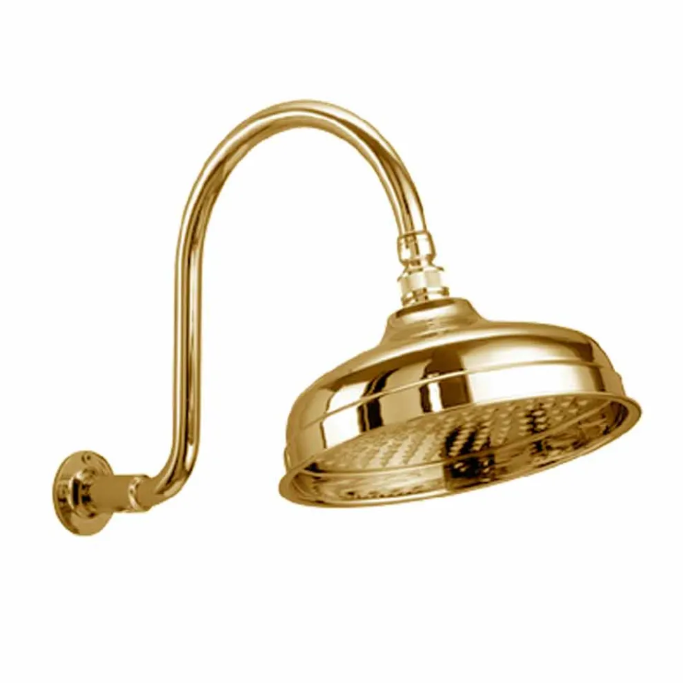 Messing Duschkopf mit klassischem Bogenarm Made in Italy - Bisco