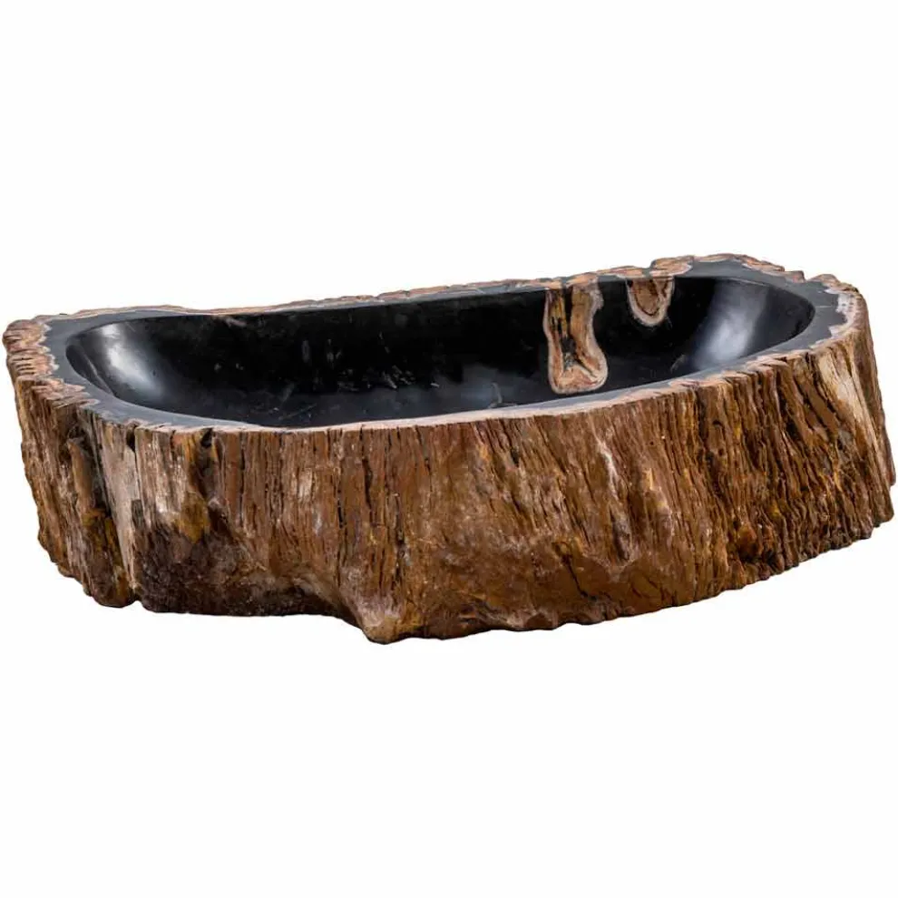 Moderne handgefertigte Waschtischplatte aus fossilem Holz, Negrar