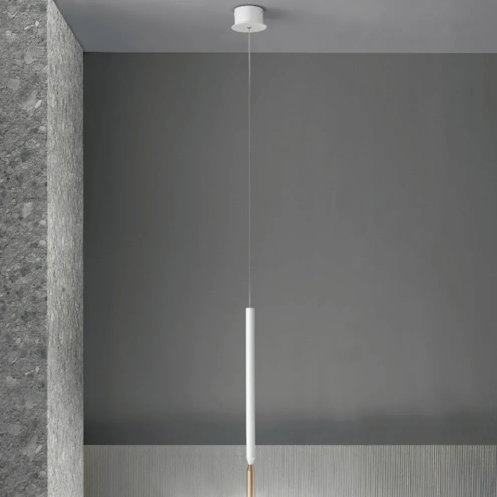 Moderne Hängelampe mit LED-Licht aus lackiertem Metall – Lärche