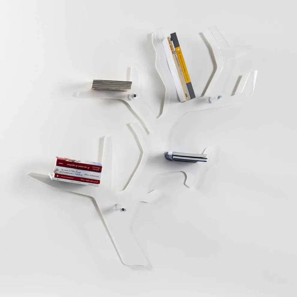 Modernes Bücherregal mit weißem Design von Carol, hergestellt in Italien