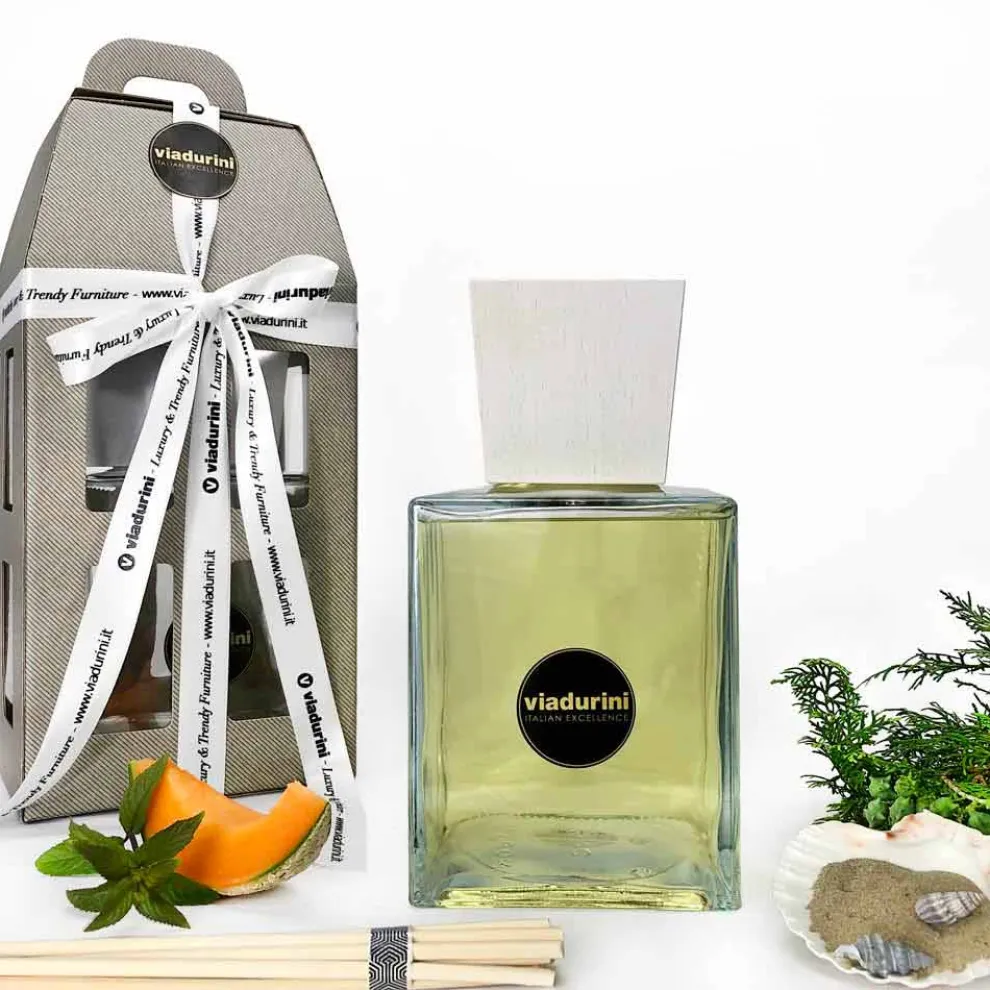 Raumduft Diffuser Meerwasser 2,5 Lt mit Sticks - Essenzadiportofino