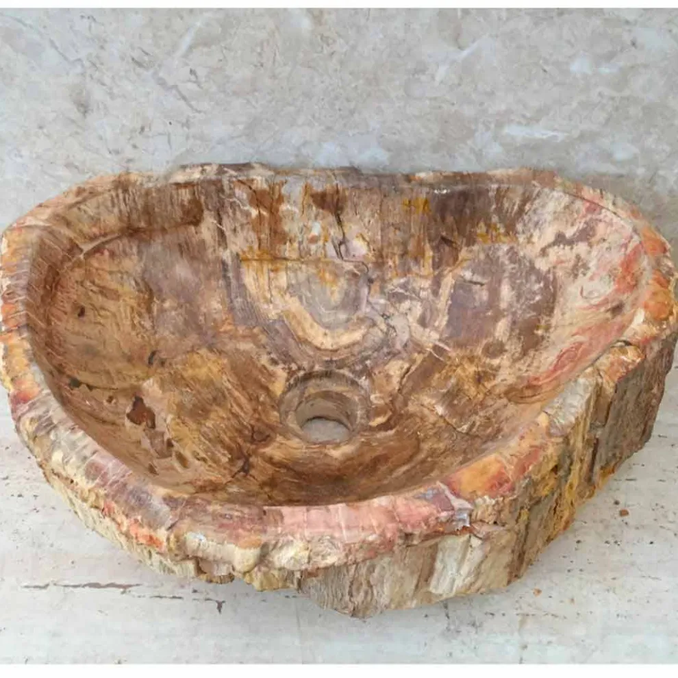Star-Aufsatzwaschbecken aus fossilem Holz, ein einzigartiges Designstück