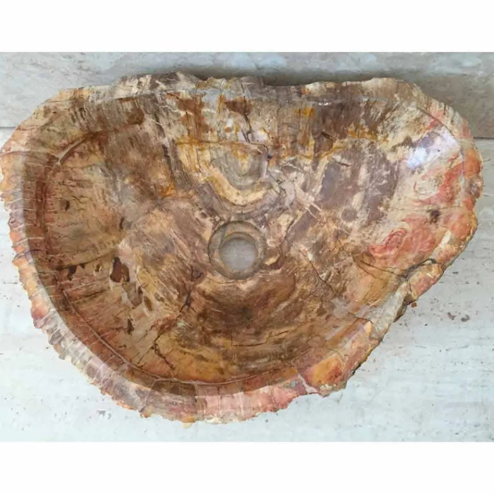 Star-Aufsatzwaschbecken aus fossilem Holz, ein einzigartiges Designstück