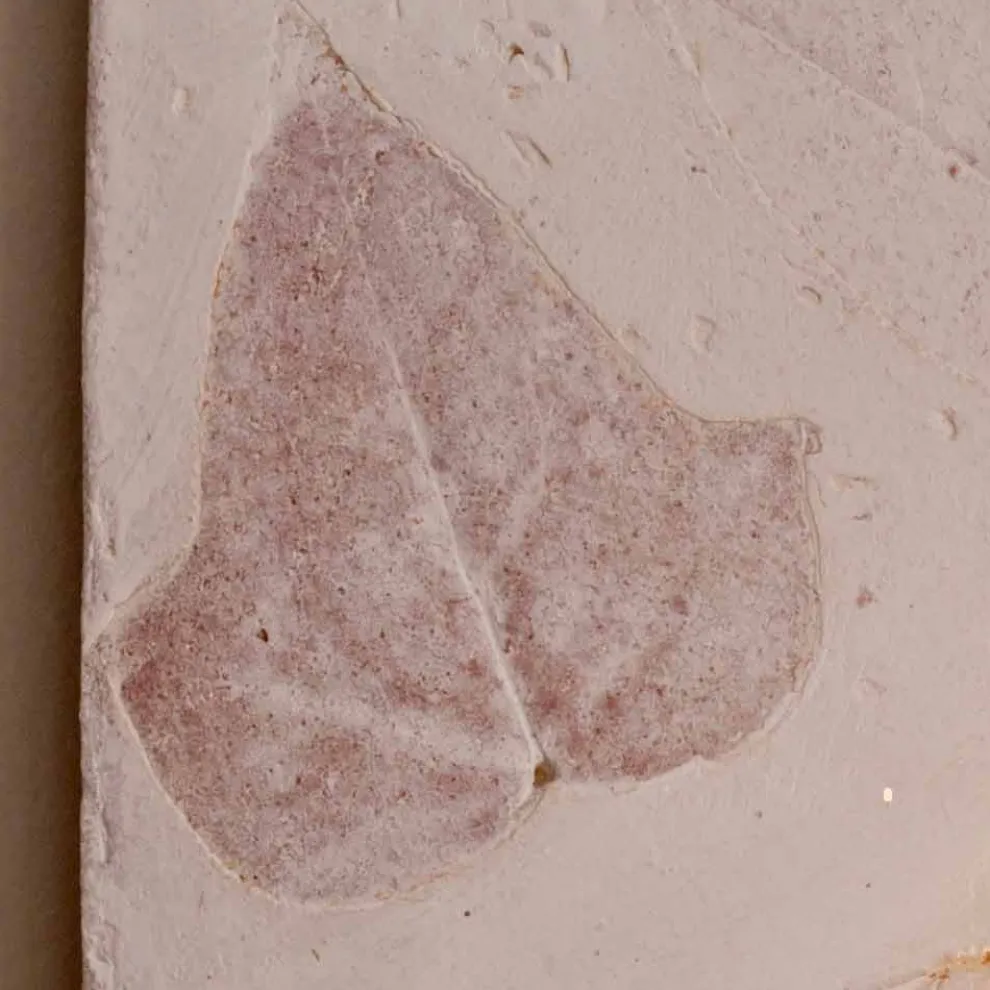 Toscot Vivaldi Wandlampe aus Terrakotta made in Italy