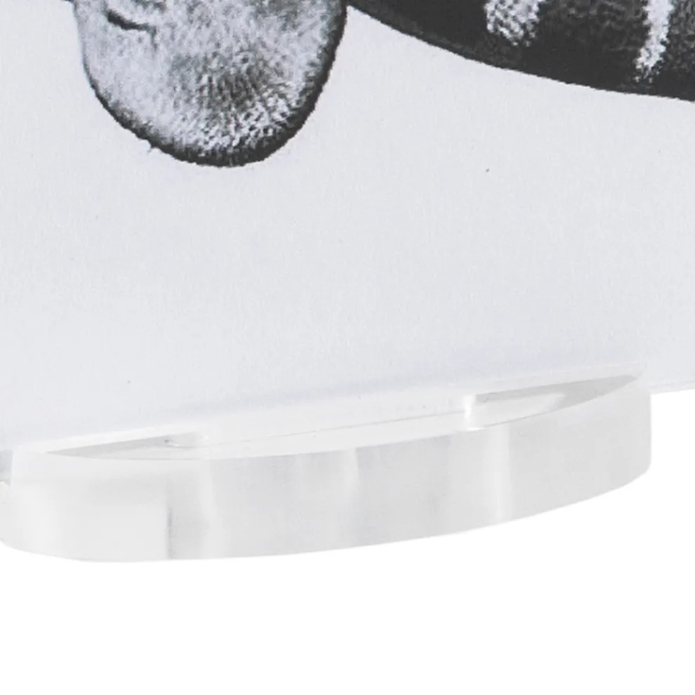 Transparenter Acryl-Kristall-Bilderrahmen mit Design-Basis - Rover