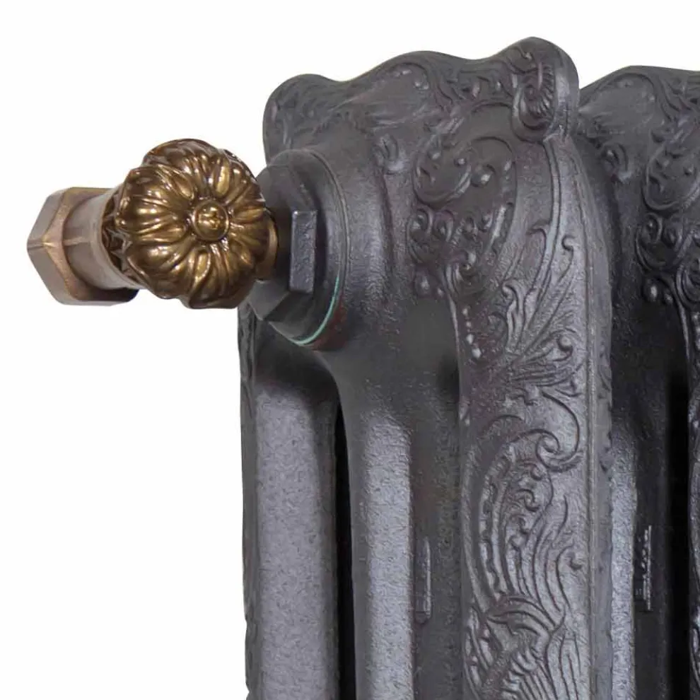 Vintage Radiator 7 Dekorierte Elemente aus Gusseisen vom Boden bis 1062 W - Barock