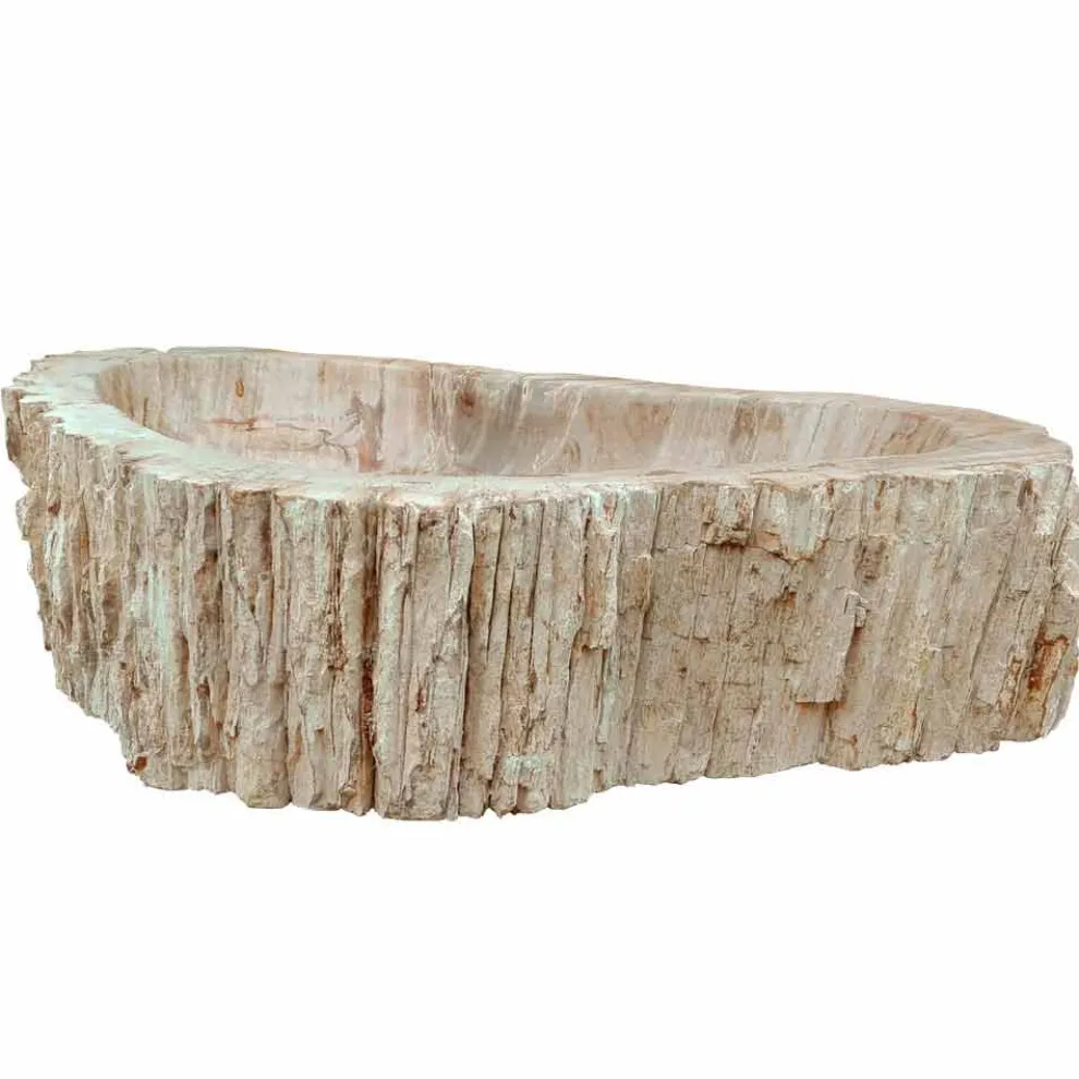 Waschbecken Aufsatzwaschbecken aus versteinerten Holz Unikat Goa Design