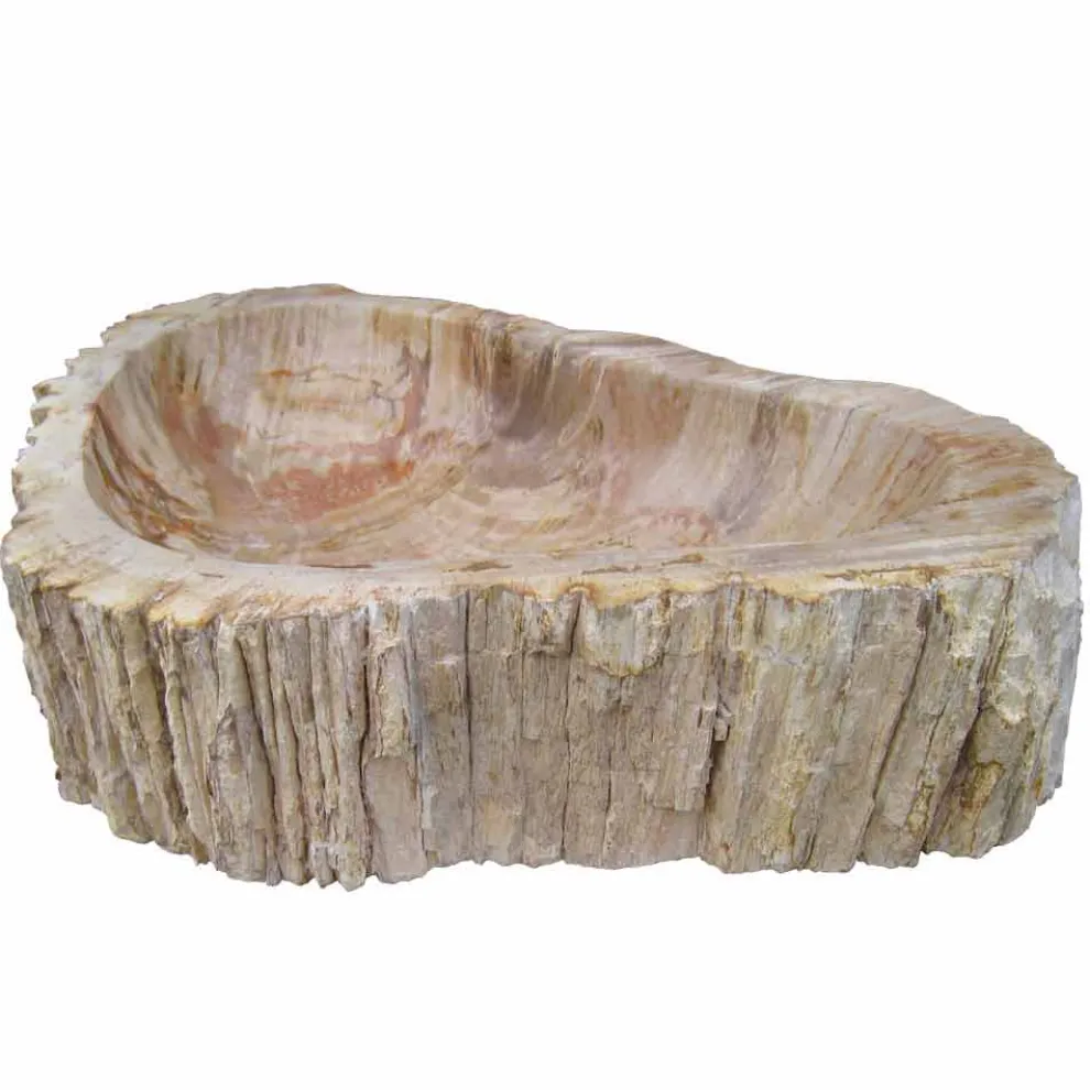 Waschbecken Aufsatzwaschbecken aus versteinerten Holz Unikat Goa Design